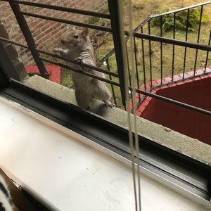 Meet your Posher, Latife